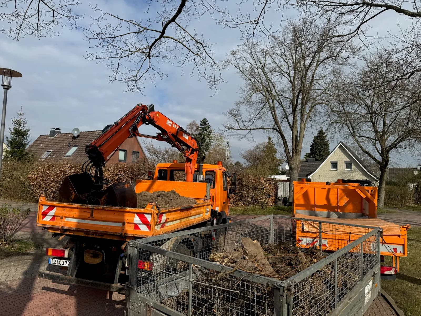 Pflanzung Hamburg – Nordgrün Baum- und Landschaftspflege Hamburg