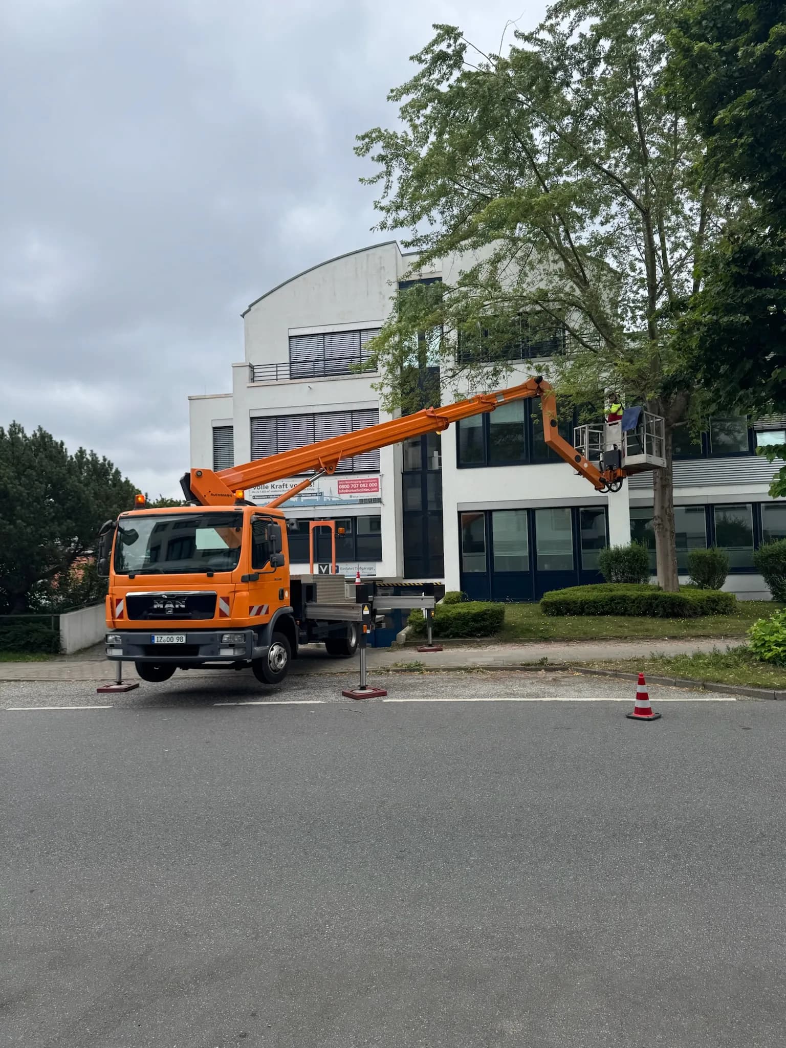 Baumpflege Schleswig-Holstein – Nordgrün Baum- und Landschaftspflege Hamburg